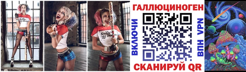 Купить  Сенгилей  Галлюциногенные грибы Psilocybe 