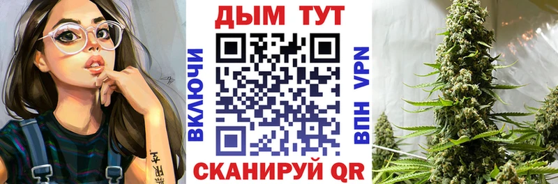 Купить где  Сенгилей  Конопля ГИДРОПОН 